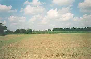 Horsford Castle