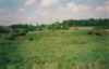 Horsford Castle Picture 2
