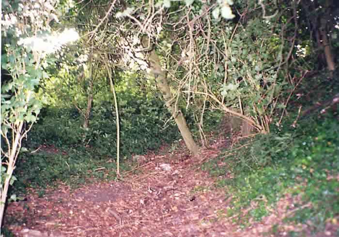 Brent Pelham ditch