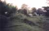 Withern