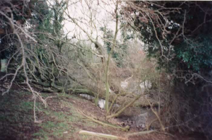 Heydour Castle - Wet Ditch