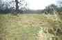 Baginton Castle Picture 2