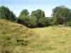 Kibworth Harcourt Castle Picture 2