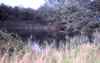 Great Barford