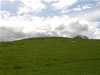 Beacon Hill Picture 3