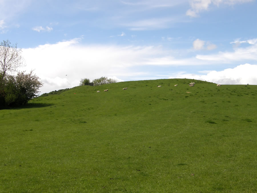 Beacon Hill