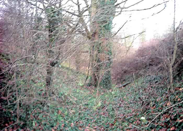 Earthwork Langton
