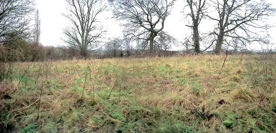 Earthwork Langton