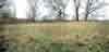 Earthwork Langton Picture 2