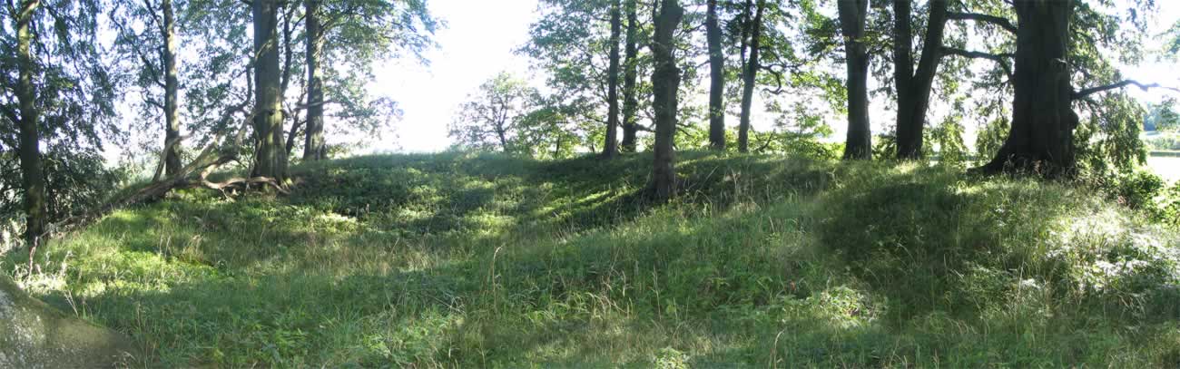 Top of the Motte Castle Haugh