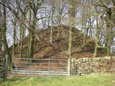 Bailey Hill