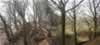 Bailey Hill Picture 2
