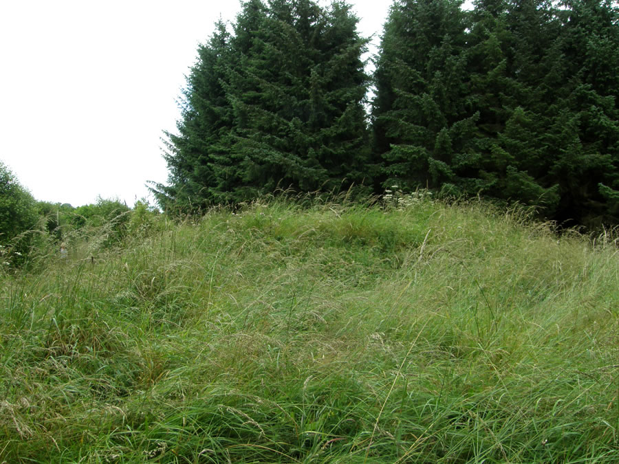Site of Hill House Bastle
