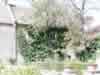Pockerley Farmhouse Picture 1
