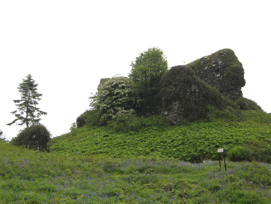 Aros Castle