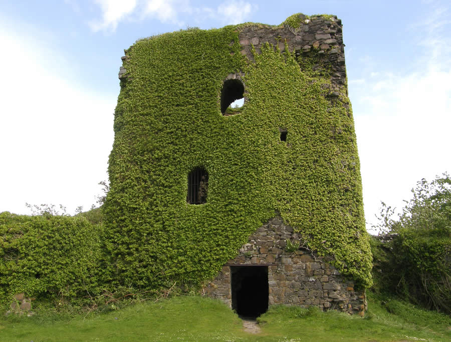 Dunollie Castle