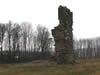 Aithernie Castle Picture 3