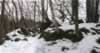 Old Woodhouselee Castle Picture 2