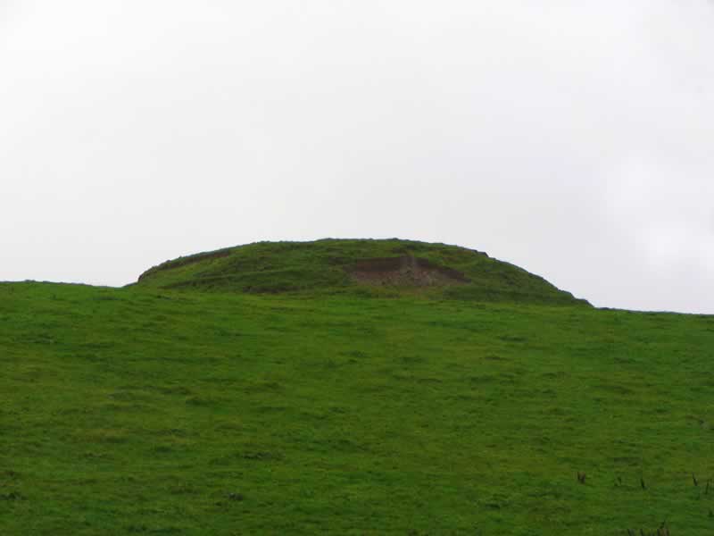 Law Mount