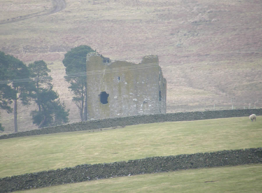 Dryhope Tower