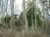 Ancrum