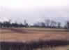 Ancrum