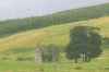 Scotland