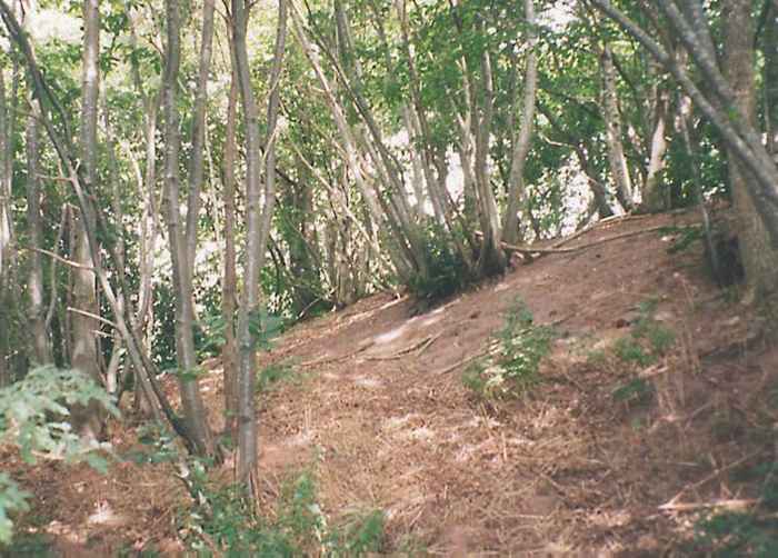 Park Mount Pulborough