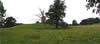 Knepp Castle Picture 3