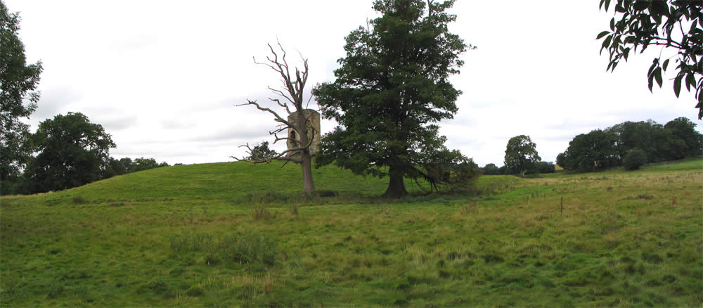 Knepp Castle