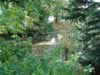 Great Dixter Moat Picture 3
