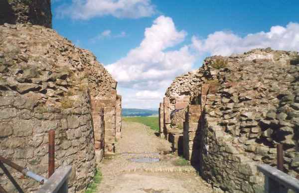 Montgomery Castle