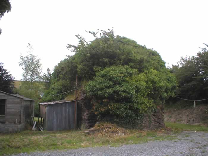 Roche Castle